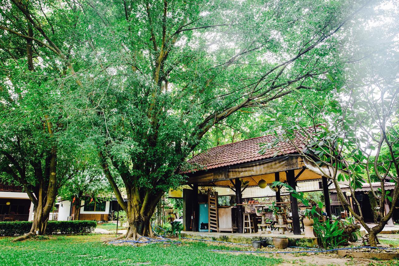 Baan Thai Resort Chiang Mai Buitenkant foto